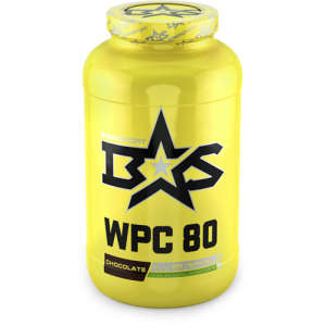 WPC 80 WHEY PROTEIN (1,3кг)
