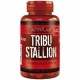 TRIBU STALLION (60капс)