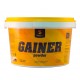 Gainer powder (1кг)