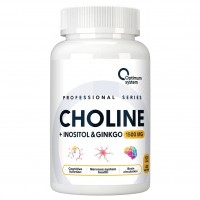 Choline + Inositol + Ginkgo (120капс)