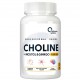 Choline + Inositol + Ginkgo (120капс)