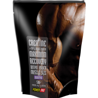 Creatine Power Pro (500гр)